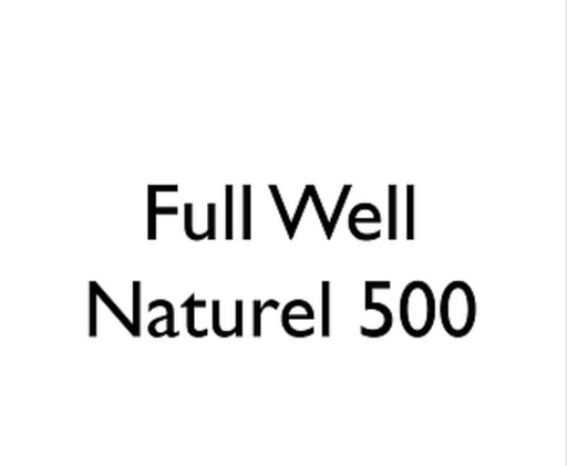 Full Well (groot opzetstuk) Naturel 500stuks